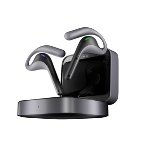 TIMEKETTLE W4 Pro Translator 