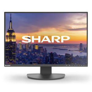  SHARP MultiSync EA242W 60,5cm (24")  
