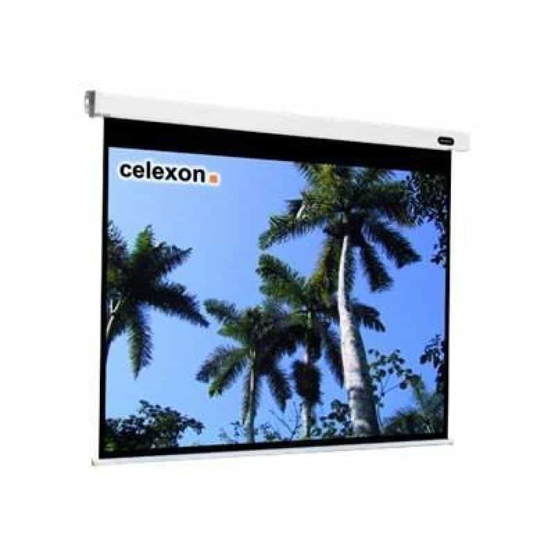CELEXON Leinwand Motor Professional 300 x 169 cm