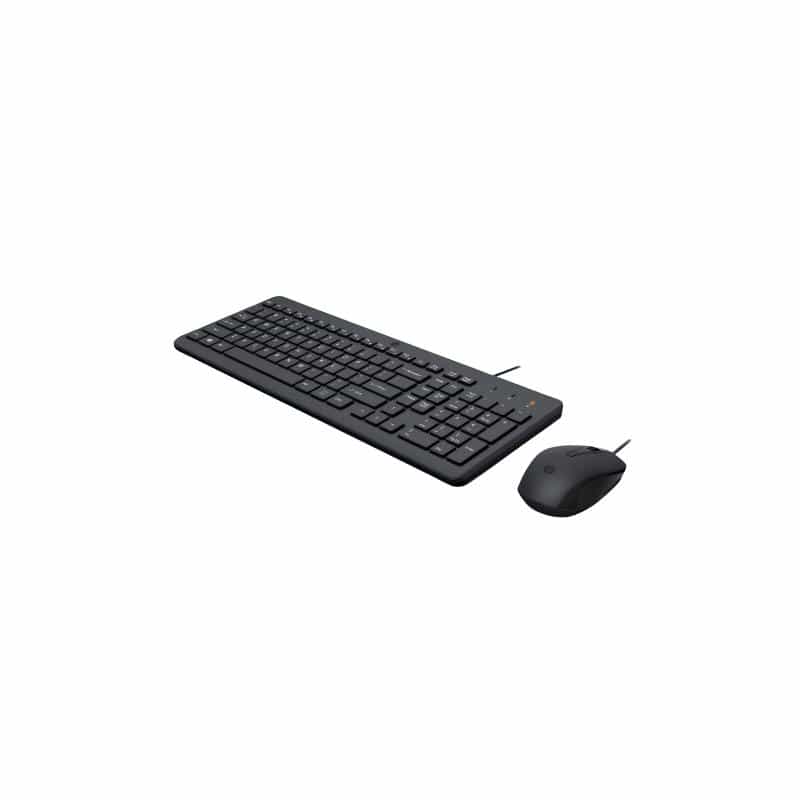 HP 100 WIRED MOUSE AND KEYBOARD