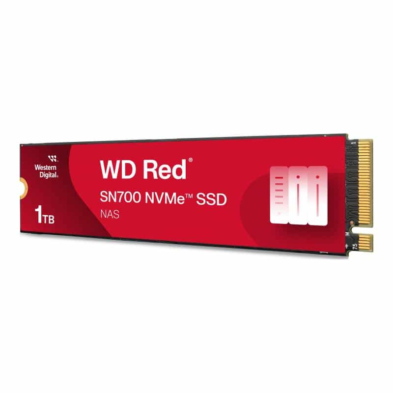 WESTERN DIGITAL SSD Red SN700 1TB
