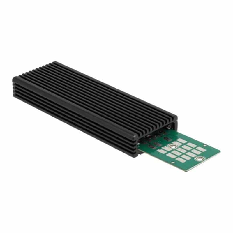 DELOCK Ext.Ge. USB-C Combo M.2 PCIe/SATA | 42004