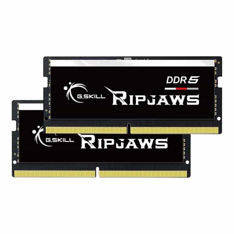 G.SKILL 32GX2-RS 1.2 64GB Kit (2x32GB)