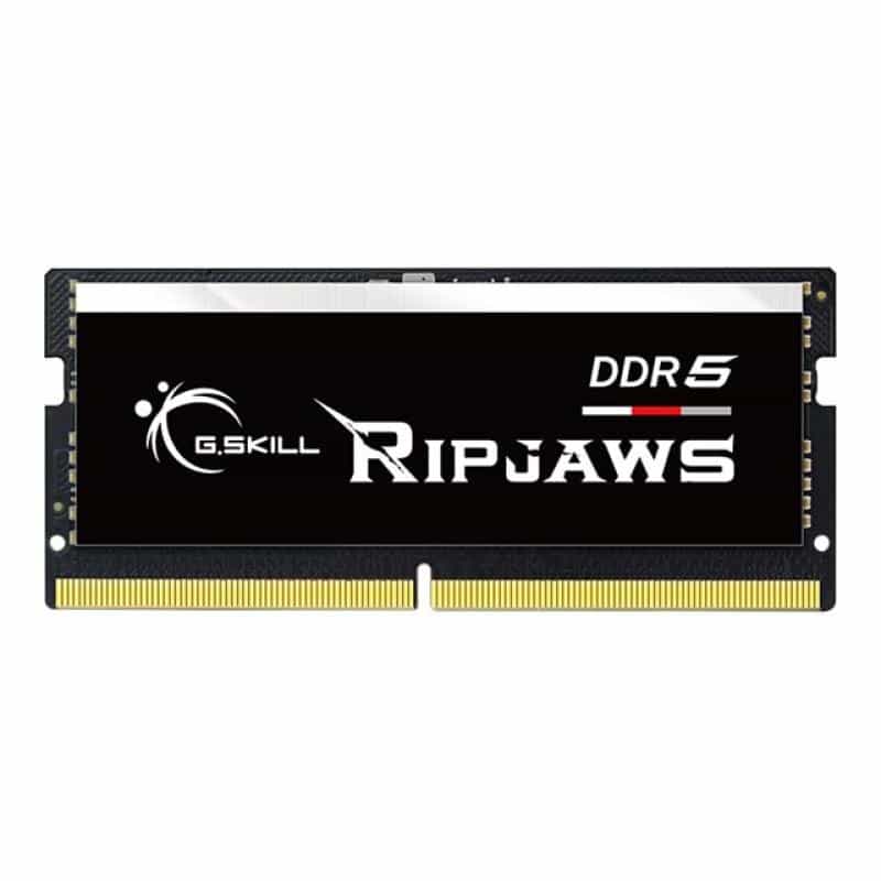 G.SKILL 32GX1-RS 1.2 32GB