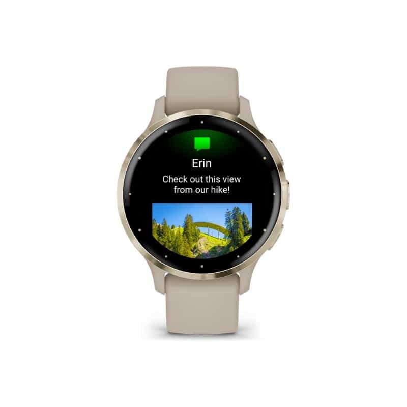 GARMIN Venu 3S -41mm - French-Gray/Softgold
