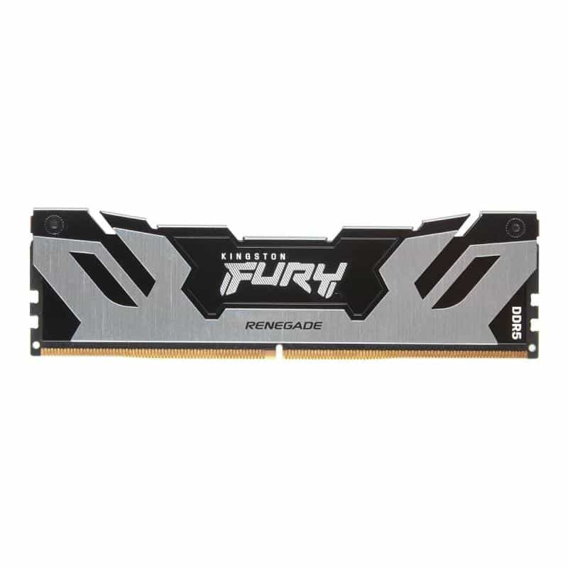 KINGSTON FURY Renegade Silver XMP 24GB