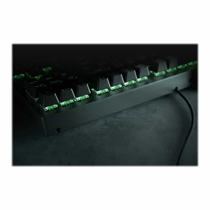 RAZER Blackwidow V3 Tenkeyless - Standard - USB - QWERTY