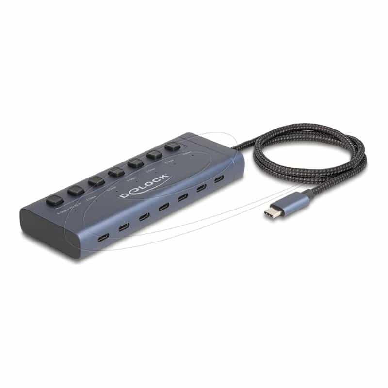 DELOCK USB 5 Gbps Hub mit 7 USB Type-C Ports
