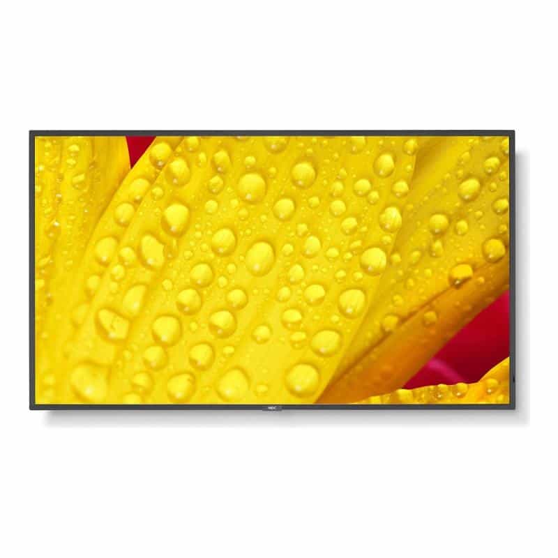 NEC MultiSync M651-2 165cm (65")