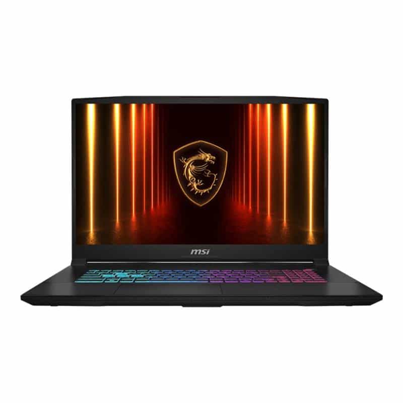 MSI Katana 17 HX B14WGK-065 43,9cm (17,3") i7-14650HX 16GB 1TB W11