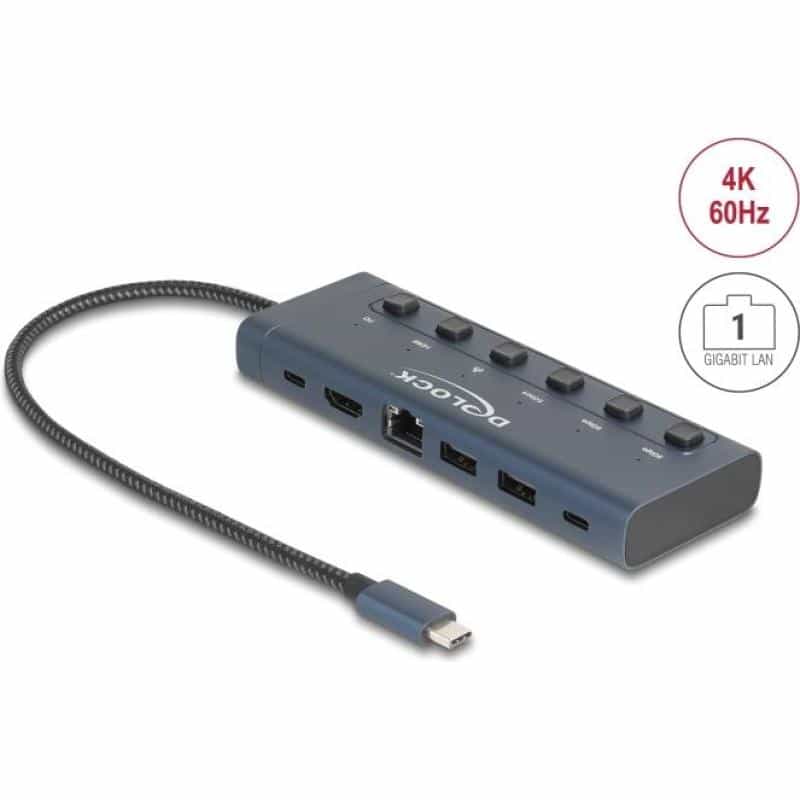 DELOCK USB Type-C Dockingstation 4K 90W mit Schalter