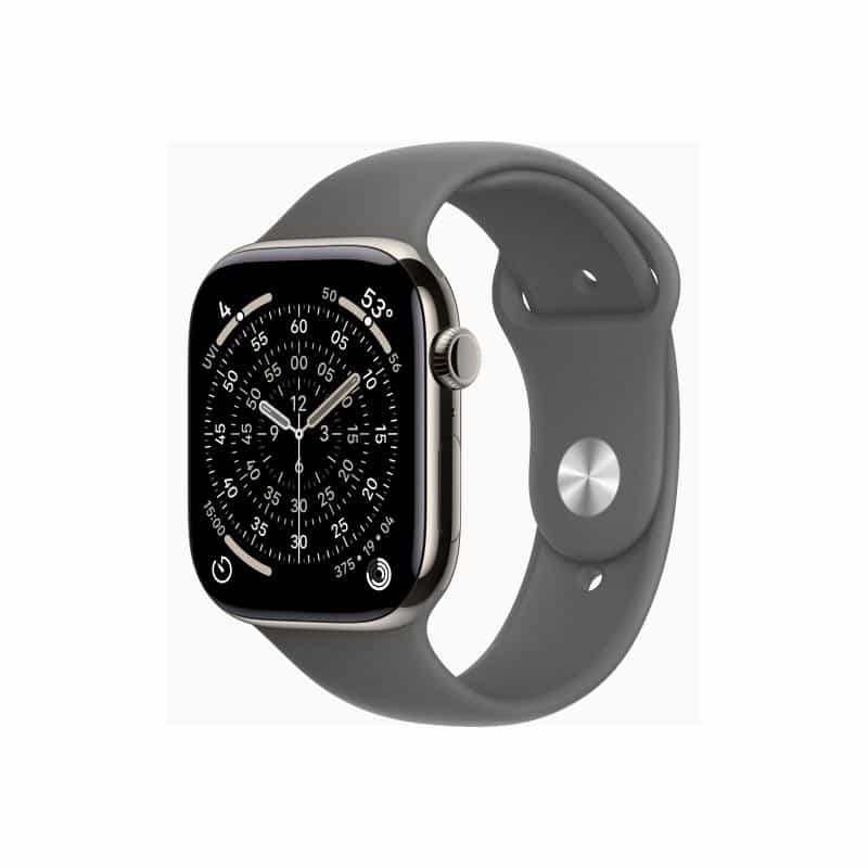 APPLE Watch S11 Titan Natur Cellular 46mm (Sportarmband steingrau) M/L