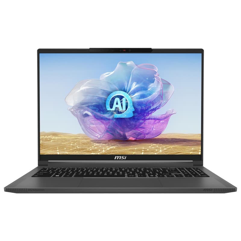 MSI GE76 Raider (Gaming Laptop 17 Zoll)