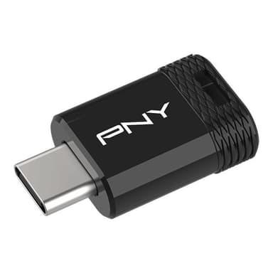 PNY Elite-X USB-Stick 256 GB USB Typ-C 3.2 Gen 1 (3.1 Gen 1) Schwarz