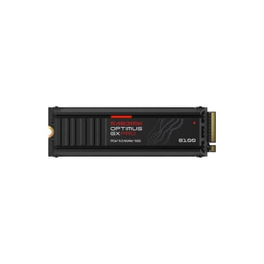SANDISK Optimus GX PRO 8100 with Heatsink 4TB