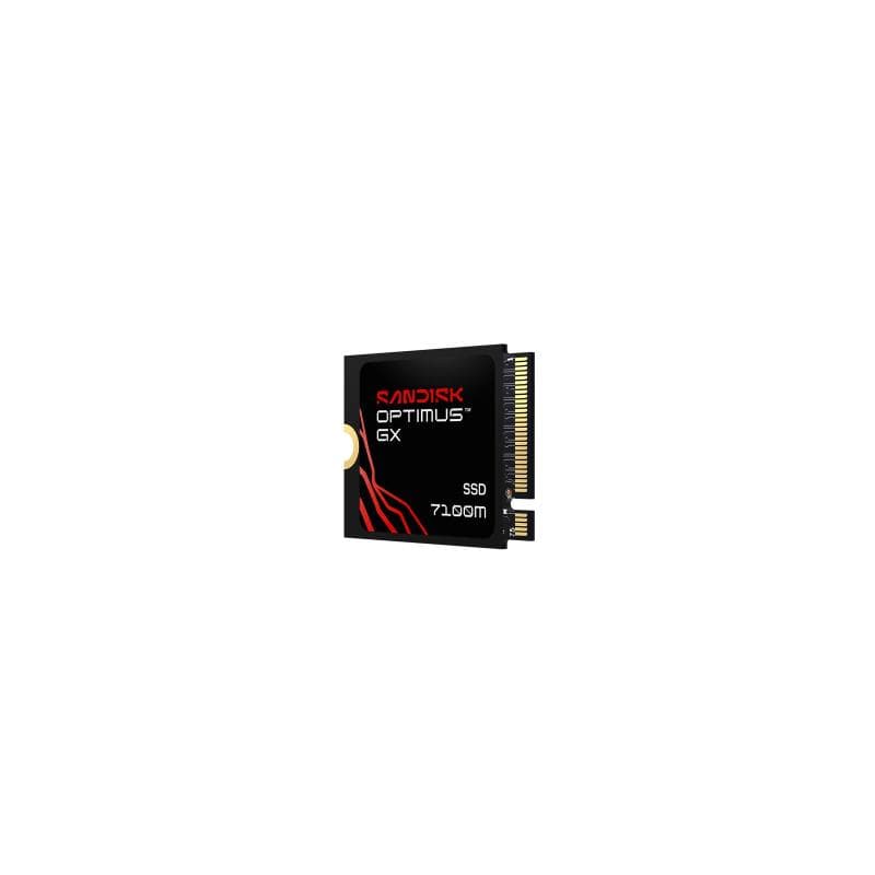 SANDISK Optimus GX 7100M 2TB
