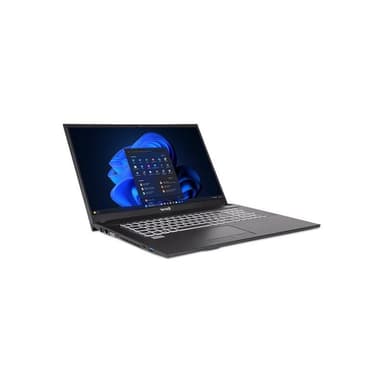 TERRA MOBILE 1716R 43,9cm (17,3″) i5-1335U 16GB 500GB W11