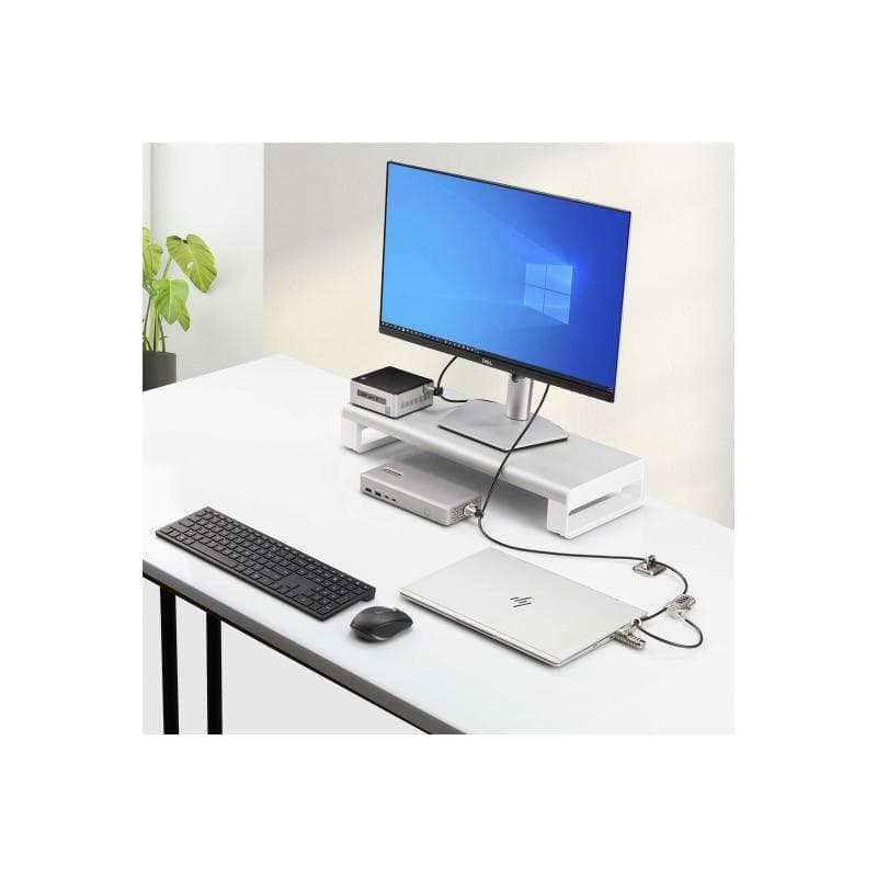 STARTECH.COM Laptop Diebstahlschutz Komplett fur Desktops/Notebooks und Peripherie Laptopschloss K-S
