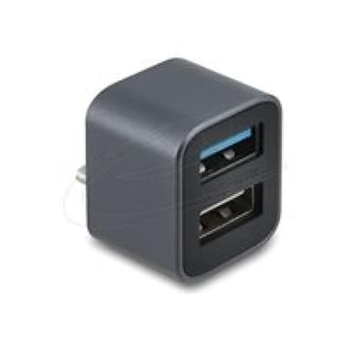 DELOCK Mini USB Hub USB Type-C Stecker zu 1 x USB 10 Gbps USB Typ-A und 1 x USB 2.0 Typ-A