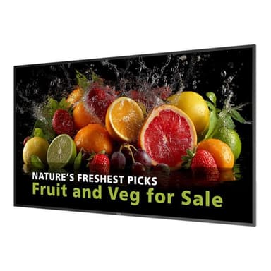 PHILIPS D-Line 65BDL5050D 165,1cm (65″)