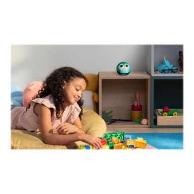 AMAZON Echo Dot 5 Eulen Design