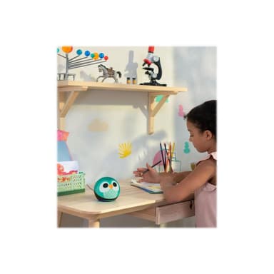 AMAZON Echo Dot 5 Eulen Design