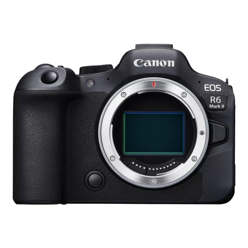 CANON EOS R6 Mark II 24,2 MP 6000 x 4000 Pixel (5666C004)