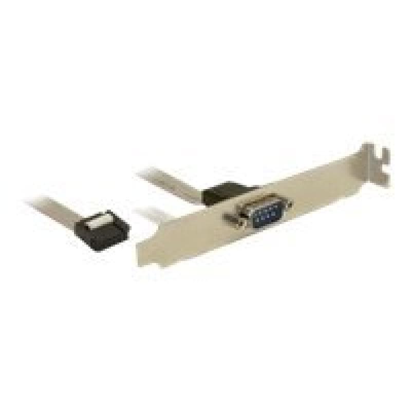 DELOCK Slotblech - Seriell 1xPort