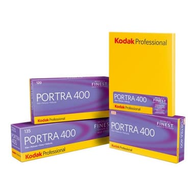 KODAK 1 Kodak Portra 400      4x5 10 Blatt
