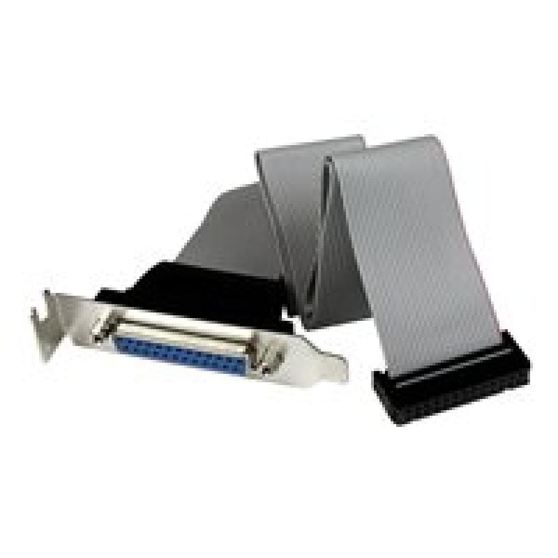 STARTECH.COM Low Profile IDC 26 (Buchse) auf DB25 (Buchse) Slotblech 40cm - Mainboard Header ICD26 a