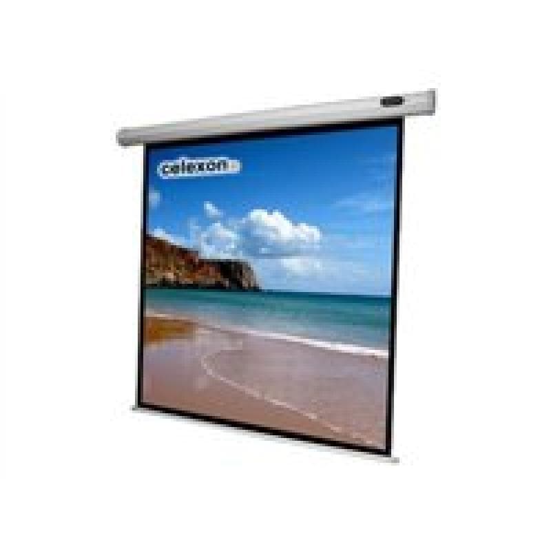 CELEXON Leinwand Motor Economy 120 x 120 cm