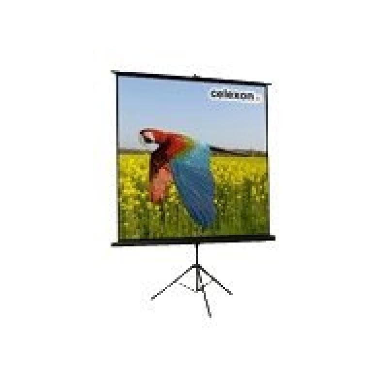 CELEXON Stativleinwand Economy 133x75 cm,White