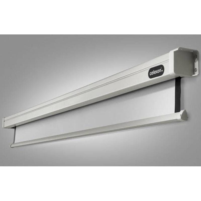 CELEXON Leinwand Motor Professional 280 x 280 cm