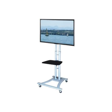 VALUE LCD/TV-Rollständer, silbergrau