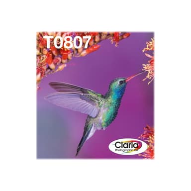 EPSON T0807 Easy Mail Packaging 6er Pack Schwarz, Gelb, Cyan, Magenta, hell Magenta, hell Cyan