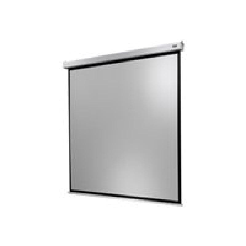 CELEXON Leinw. Motor Prof. Plus 120x120 cm