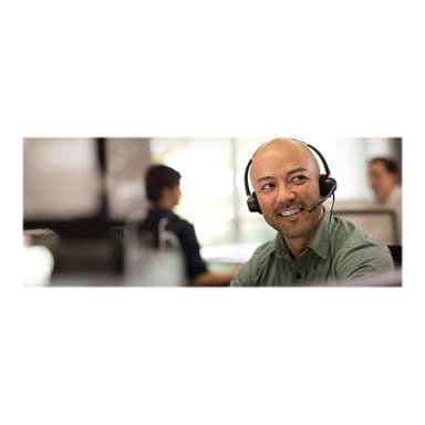 PLANTRONICS Headset EncorePro binaural (HW520)