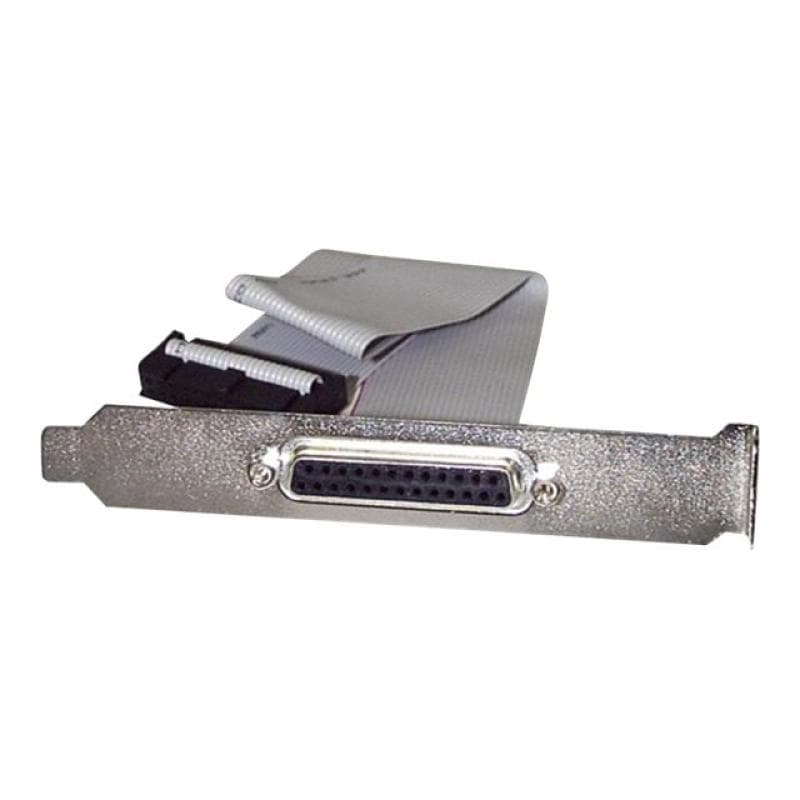 STARTECH.COM 40cm DB25 Parallel Buchse auf IDC 25 Pin Header Slotblech