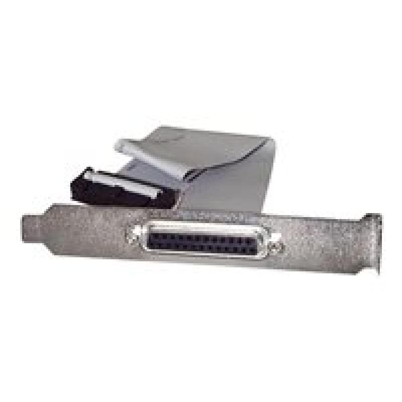 STARTECH.COM 40cm DB25 Parallel Buchse auf IDC 25 Pin Header Slotblech