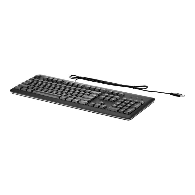 HP USB Keyboard SK