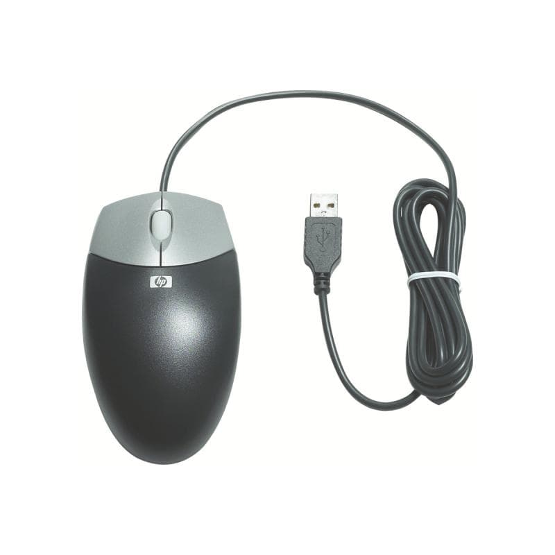 HP optische Scroll Maus USB carbon 2Tasten