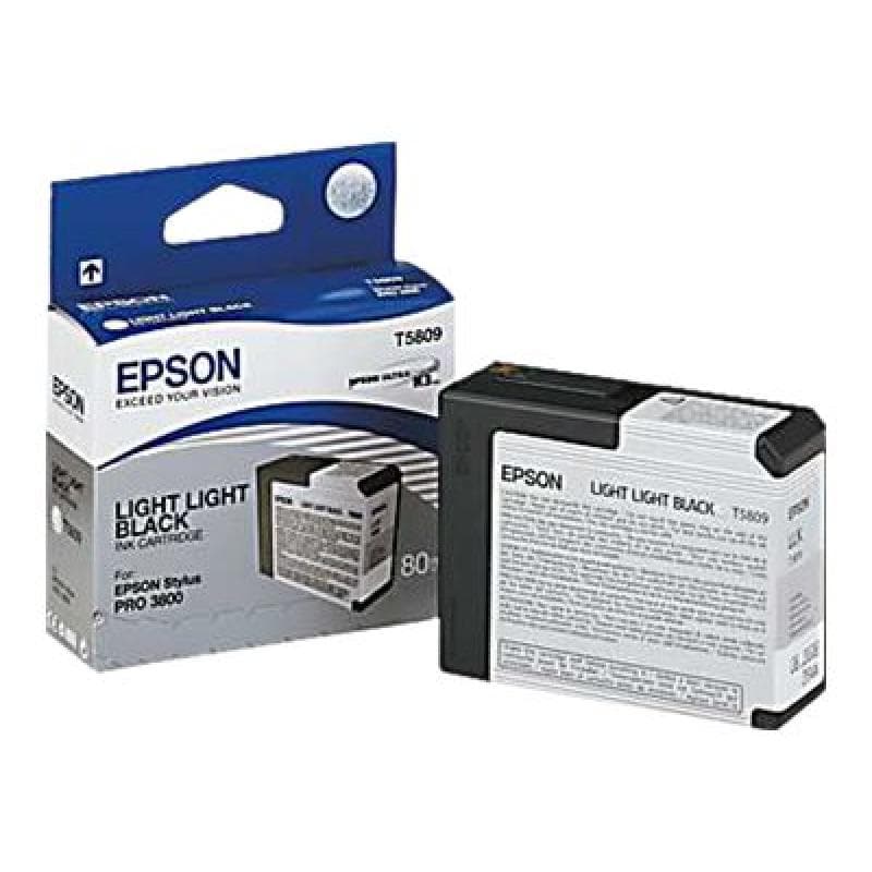 EPSON T5809 Light Light Black Tintenpatrone