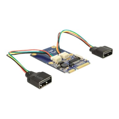 DELOCK MiniPCIe I/O PCIe full size 2 x USB 2.0 Delock
