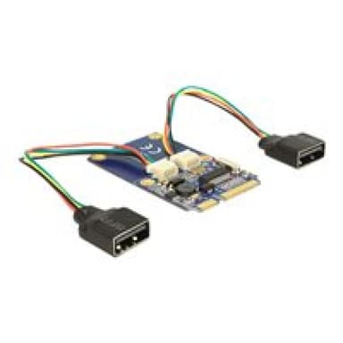 DELOCK MiniPCIe I/O PCIe full size 2 x USB 2.0 Delock