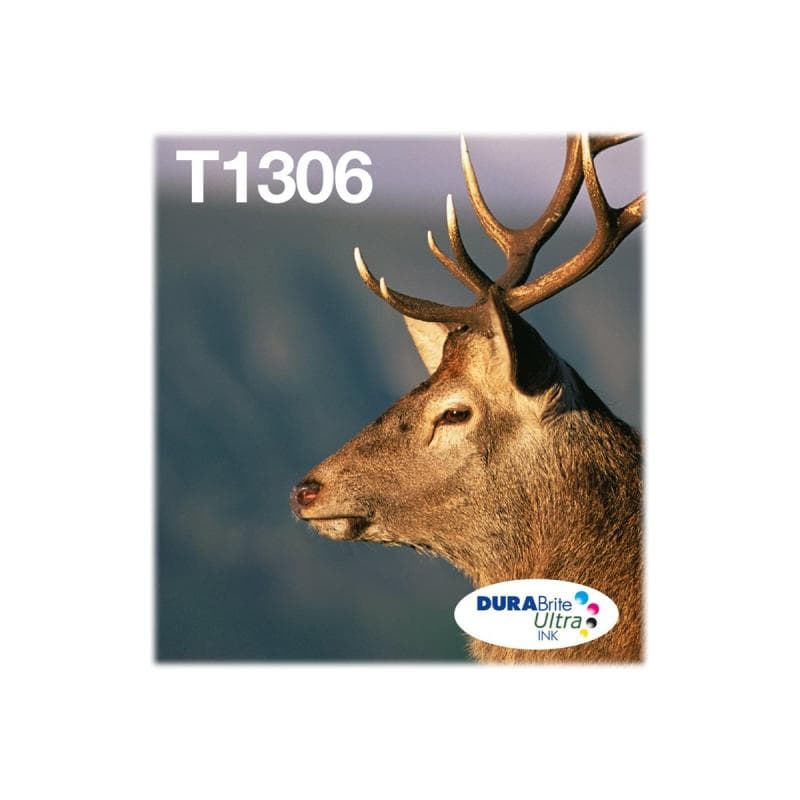 EPSON T1306 Multipack Easy Mail Packaging 3er Pack Gelb, Cyan, Magenta Tintenpatrone