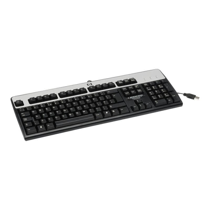 HP Standard Basis Keyboard 2004 USB Tastatur (ES)