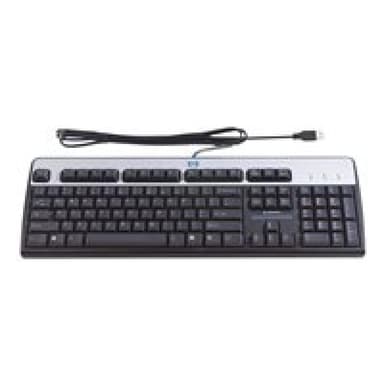 HP Standard Basis Keyboard 2004 USB Tastatur (ES)