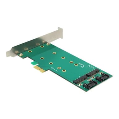 DELOCK PCIe x1 > 2 x M.2 Key B Low Profile Form Faktor