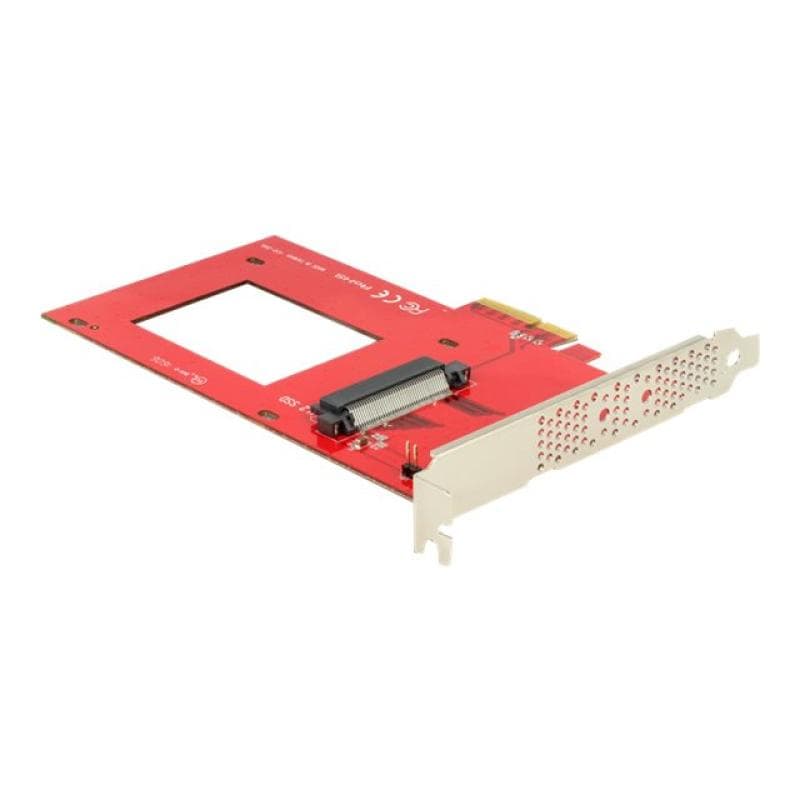 DELOCK PCIe x4 > U.2 Slot NVMe
