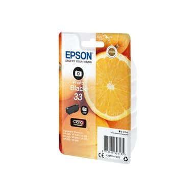 EPSON 33 Photo schwarz Tintenpatrone
